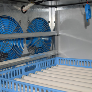 Máy Ấp Trứng 500 512 800 1000 Máy Ấp Trứng Tự Động Bán Chạy - Product Image 4