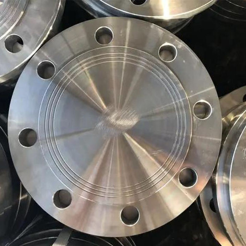 150#-2500# SS / Alloy Steel Forged Pipe Fittings Blind Flange
