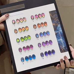 AILANUO Esmalte de Uñas en Gel Efecto Ojo de Gato Aurora de 10 Colores, 15 ml, Gel Ojo de Gato Libre de TPO y HEMA, OEM ODM, Gel Neón - Product Image 3