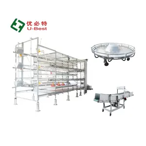 High Quality Automatic H/A Type Broiler Chicken Farming Equipment Poultry Broiler Cage