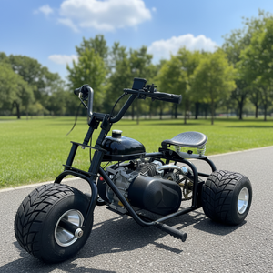 Tricycle tout-terrain à trois roues équipé d'un moteur quatre temps de 212 cm³ ; Kart de <span class=keywords><strong>drift</strong></span> à essence conçu pour la course - Product Image 1