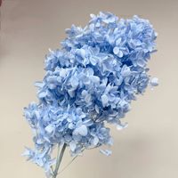 Hortensia Conique Bleu Fleurs Préservées 100% Naturelles Durables 3-5 Ans Décoration Vase Maison Centre de Table Mariage Thanksgiving