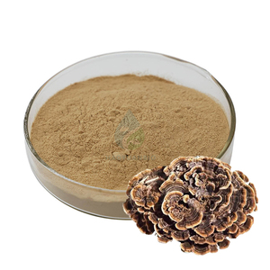 Supplément <span class=keywords><strong>de</strong></span> <span class=keywords><strong>champignon</strong></span> Lions Mane et Turkey Tail Poudre <span class=keywords><strong>de</strong></span> <span class=keywords><strong>champignon</strong></span> Turkey Tail - Product Image 2