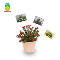Fleurs artificielles réalistes en plastique style Art Déco, roses étoilées, pour Noël, Halloween, la Fête des Mères, Diwali, Ramadan, la remise des diplômes, l'anniversaire