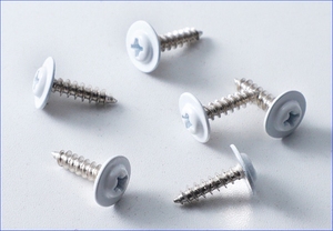 Vis autotaraudeuses à tête ronde en acier inoxydable 304 avec revêtement blanc, clous adhésifs Huasi M2, M3 - Product Image 2