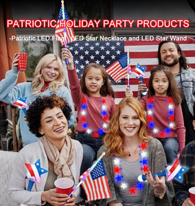 Bandiere Luminose Portatili del Giorno dell'Indipendenza Americana, Personalizzate, in Poliestere, Marca Ishine, per Esterni - Product Image 6