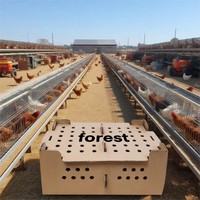 Boîte d'expédition en carton ondulé personnalisée Forest Packing pour le commerce électronique, avec logo sur mesure, en matériaux recyclés, et emballages en carton pour produits vivants