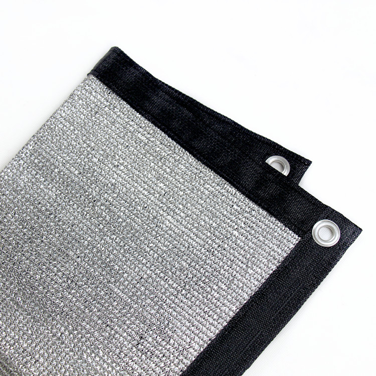 Argento con cinghie nere e occhielli