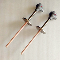 Haichen Ceramic Sheathed K Type High Temperature Thermocouple for Electric Furnace