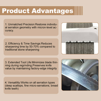 Meule à affûter à profil côtelé CBN pour couteaux de cuisine dentelés, meule à affûter à arc, meule à affûter à denture