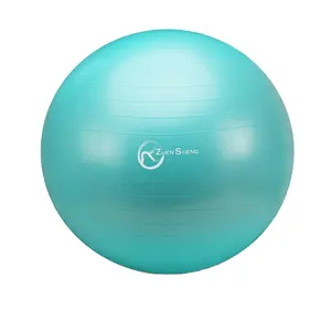 Zhensheng Customized 65cm Pregnancy Yoga Balls Gym Exercise Ball Chair