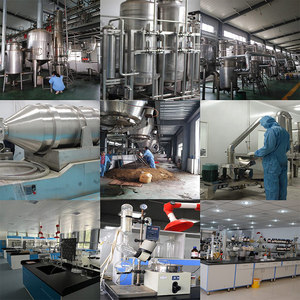 Produttore fornitura di qualità Broccoli germoglio in polvere di Broccoli in polvere - Product Image 4