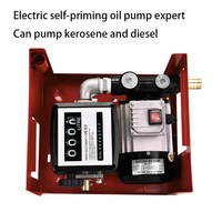 Pompa Diesel Elektrik DC12V 45L/M Self-Priming dengan Nozzle dan Selang Flow Meter untuk Transfer Bahan Bakar Penggunaan Otomotif OEM