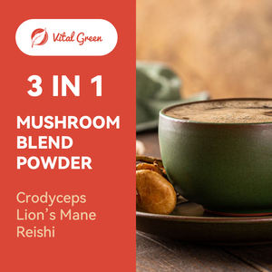 Private Label 10:<span class=keywords><strong>1</strong></span> 20:<span class=keywords><strong>1</strong></span> Leões Juba Cordyceps Cogumelo Mistura Em Pó Natural Cogumelo Maitake Duplo Extrato Em Pó - Product Image 2