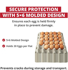 再生纸浆纸制蛋托盒可生物降解30格包装盒，适用于鸡、鹌鹑、鸭蛋农场零售批发 - Product Image 5