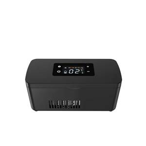 Taşınabilir Elektrikli İnsülin Kalemi Kutusu Pilli İnsülin Soğutucu Araba Seyahat Soğutucusu Şarj Edilebilir Mini Peptit Buzdolabı - Product Image 2