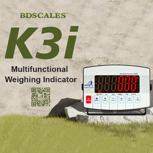 Bilancia Digitale Industriale Multifunzionale con 4 Celle di Carico, Piattaforma da <span class=keywords><strong>200</strong></span> Kg/100 Kg, Indicatore di Peso Digitale - Product Image 3