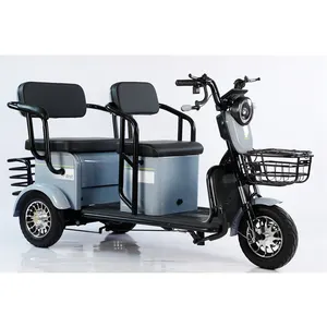 Low Cost Professional Hersteller 350w Elektro-Dreirad für Behinderte