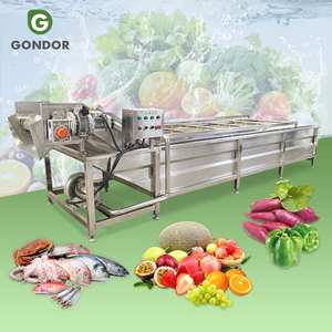 Laveuse et équipement de nettoyage à bulles d'air pour fruits, légumes et choux verts Haw Industry - Product Image 1