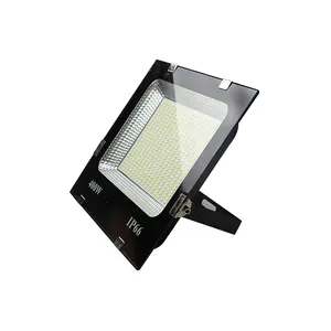 بيع مباشر من المصنع للحدائق اضاءة الخارجية 50 وات 100 وات 200 وات عاكس للضوء مقاوم للماء IP66 مصباح LED