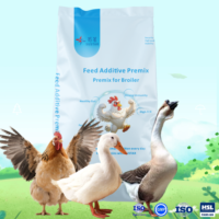 Prémélange Concentré de Croissance Rapide pour Poulets de Chair – Aliment de Démarrage pour Volailles – Vente en Gros