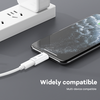 Nouveau Convertisseur Audio 8 Broches Femelle vers USB-C Mâle avec Protection OTP, Sortie CA, en Alliage d'Aluminium pour Téléphone Portable, Ordinateur Portable, Tablette LED