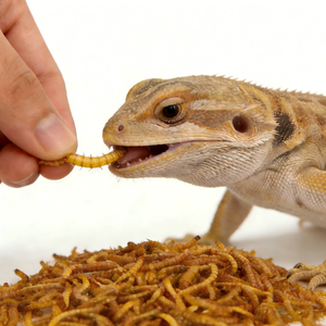 Alimento para Animales con Alto Contenido de Proteínas, Directo de Fábrica, 100% Natural, Gusanos de Harina Secos para Cría de Aves y Reptiles - Product Image 2