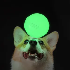 כלב צעצועי הקפצת כדור זוהר בחושך שאינו רעיל ללעוס צעצועי כלב כדור לזרוק אינטראקטיבי צעצועים לחיות מחמד