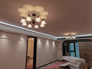 Lámpara de Techo LED de Estilo Vintage Francés con Diseño Floral, Espectro Completo RG0, Protección Ocular - Product Image 3