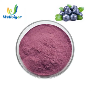 Poudre de jus de myrtille sauvage lyophilisée à base de plantes naturelles, certifiée Halal, concentration de 90%, complément alimentaire de qualité alimentaire - Product Image 1
