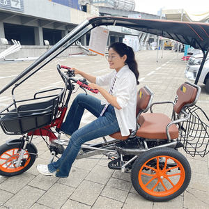 Fabricant de tricycles à assistance par pédale à prix réduit tricycle à pédale électrique à 3 roues pour adultes avec panier avant - Product Image 5