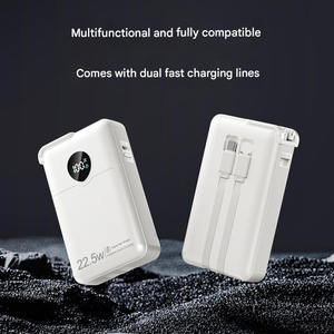 PD20W Schnellladung 10000mAh Ultraflache Typ-C 2-in-1 Powerbank LED-Anzeige Tragbarer Li-Polymer-Akku AC-Stecker Logo Anpassbar - Product Image 6