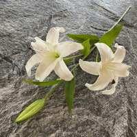 Nouvelles fleurs artificielles Calla Lily à 3 têtes, toucher réel, PU, 71 cm, fleurs de lys roses et blanches pour la décoration de la maison et des mariages