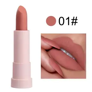 Einzigartiges Design Pink Tube Custom ized Matte Wasserdichter Lippenstift Nutritious 22 Colors Makeup Lipstick