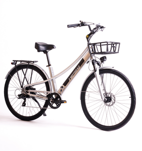 Bicicleta de Montaña EMOTORAD con Motor sin Escobillas, Batería de Litio de 48V, Llanta CST 700*40C, Aluminio, 7 Velocidades, Disco, Buje Trasero de 27.5 Pulgadas - Product Image 5