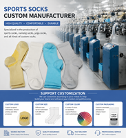 Chaussettes de sport en Spandex/Nylon personnalisées en gros, respirantes, absorbant la transpiration, antibactériennes, avec talon renforcé