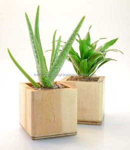 Maceta de madera asequible para uso en el hogar, hotel y restaurante, maceta de decoración hecha a mano de calidad superior - Product Image 2