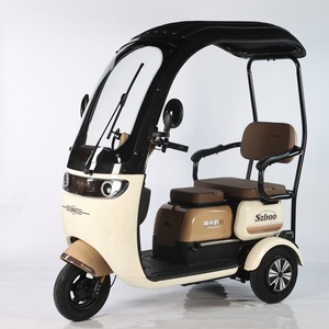 Triciclo Eléctrico de Pasajeros para Adultos, de 3 Ruedas, Tipo Taxi, con Cubierta Completa, E-Trike para Pasajeros - Product Image 3