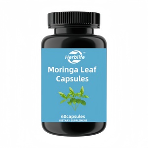 Suplementos OEM/ODM de Marca Privada, Apoyo Herbal y Fuente Rica en Fitonutrientes, Cápsulas de Hoja de Moringa Extra Fuerte 500Mg - Product Image 1