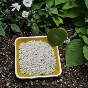 Fertilizzante NPK Economico Marca Seaworth <span class=keywords><strong>20</strong></span> <span class=keywords><strong>10</strong></span> <span class=keywords><strong>10</strong></span> a Rilascio Rapido Granulare - Product Image 1