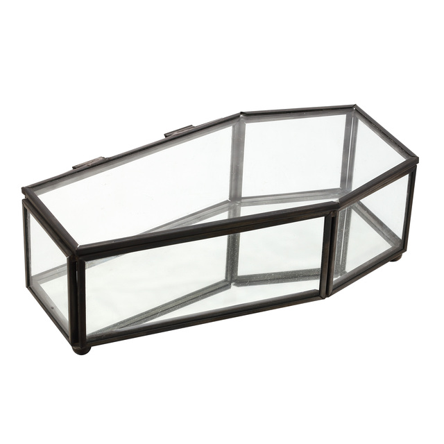Spooky Halloween Gothic Decor Small Glass Coffin Jewelry Display Box with Mirror Base