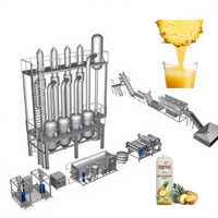 1-200T/D Automatische Nieuwe Technologie Industriële Vers Vruchtensap Maken Machine Citroenananassap Verwerkingsmachine