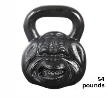 54 libbre-24,5 kg