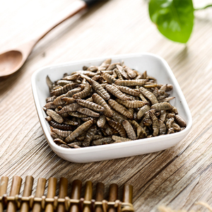 Larves de Mouches Soldat Noires Fraîches Scellées Sous Vide en Gros, Insectes Écologiques Riches en Protéines pour Alimentation des Reptiles et Tortues - Product Image 1