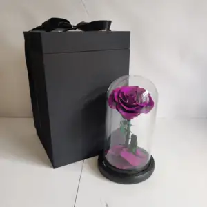 Factory Directly Supply 2024 Hot Selling Eternal Rose Morthers Day Preserved Flower Forever Roses In Glass Dome Led