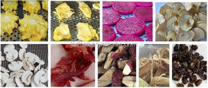 Professional High Efficiency Commercial Commercial Food <b>Dehydrator</b> <b>Machine</b> Industrial Fruit <b>Dehydrator</b> <b>Machine</b> Made in China - Product Image 4