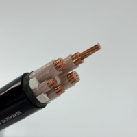 Cable reticulado con núcleo de cobre JDH GB, cable de cubierta de PVC ignífugo subterráneo de 2x4, 0,6/1kV cuadrado de 2x