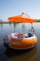 Bateau BBQ électrique personnalisé pour 5 à 10 personnes, capacité supérieure à 500 kg, pour hôtels et complexes hôteliers