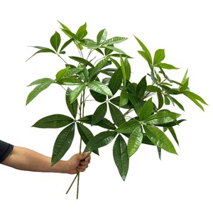 Hojas Artificiales de Árbol del Dinero Meng Jie, 80cm, Hoja Grande, Rama de Dos Ramificaciones, Material para Arreglos Florales y Decoración del Hogar - Product Image 5
