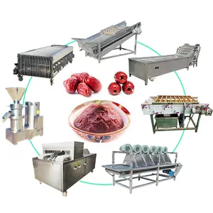 Date Washing Drying Pitting Production Line Fruit Vegetable Food Syrup Washing Processing Machine
